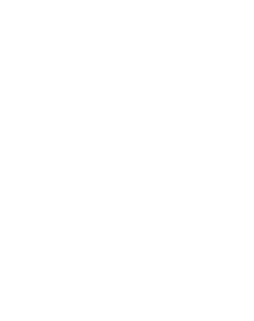 project icon